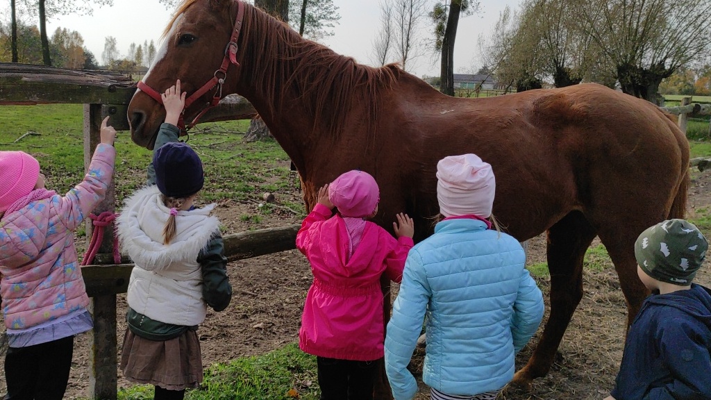 dzieci głaskają konia.jpg