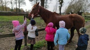 dzieci głaskają konia.jpg
