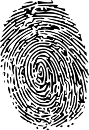 fingerprint-150159_640.png